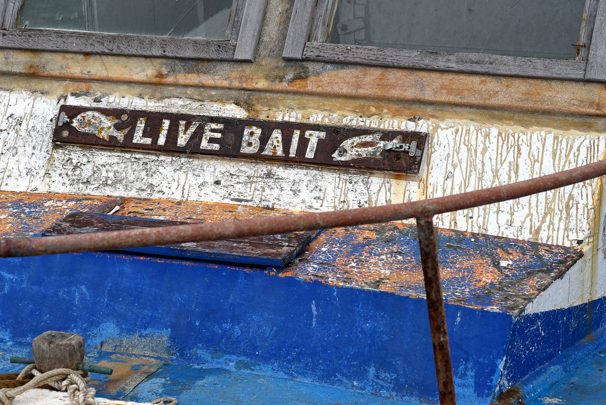 Live Bait