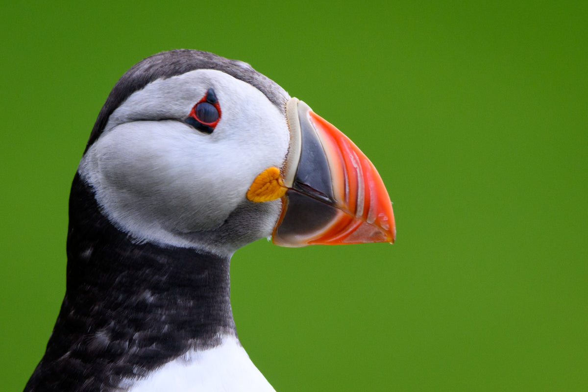 Ready for my close-up